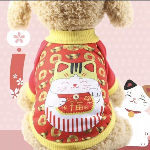 Áo thun mèo may mắn