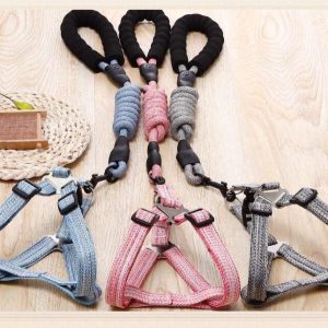 Bộ dây dẫn + Yếm #3