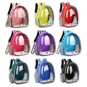 Balo Trong Suốt Mẫu Đẹp