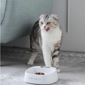 Petkit BioCleanAct™ Bowl