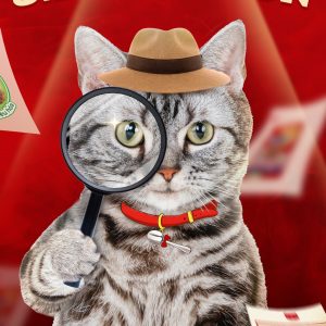 Thức ăn hạt cho mèo Silver Spoon Túi 1kg