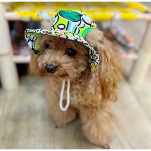 Nón cho chó mèo, nón mũ vải tai bèo che nắng cho chó mèo thú cưng