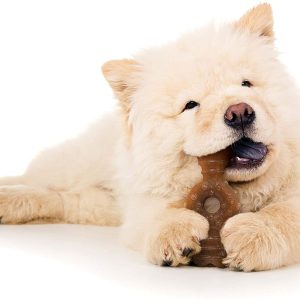 Nylabone Puppy Ring Teething Chicken Flavored Bone, Wolf, Medium