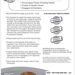 Nylabone Puppy Ring Teething Chicken Flavored Bone, Wolf, Medium