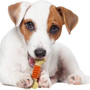Nylabone Power Chew Dental Bone for Dogs