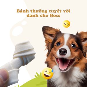 Xương da bò tự nhiên lớn 2 cây