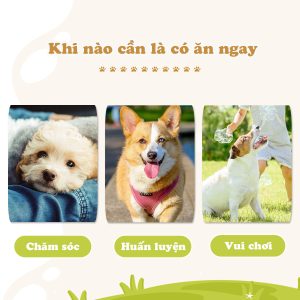 Xương da bò tự nhiên lớn 2 cây