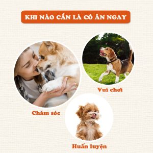 DOGGY MAN gà sấy dẻo 80g