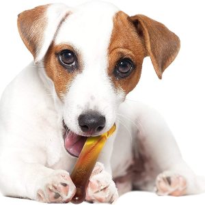 Nylabone Flavor Frenzy Power Chew Triple Pack
