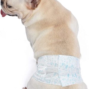WAGS & WIGGLES Dog Diapers For Male Dogs - X Small