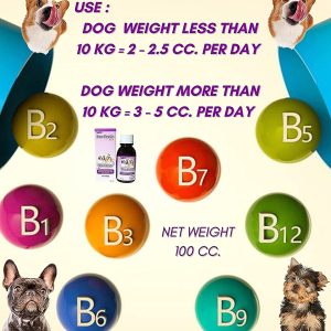 Hỗ Trợ Máu Cho Chó Progy Pro-Ferric 100cc