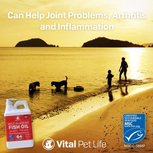 Wild Alaskan Salmon Oil Omega 3 EPA DHA Liquid 1.89L