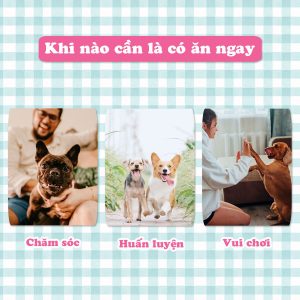 Xương nơ sữa dê mini 14 cây