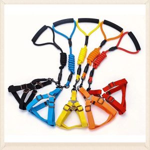 Bộ dây dẫn + Yếm #2