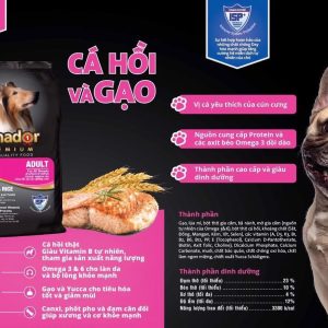 Ganador Premium Adult Salmon & Rice 3KG,  20kg (400g x 50túi)