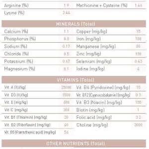 ROYAL CANIN - Sữa Bột Cho Chó 400gr (Gói Lẻ)