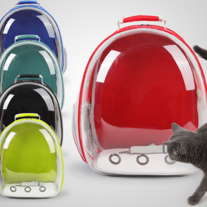 Balo Trong Suốt Mẫu Đẹp