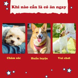 DOGGY MAN que cuốn thịt gà mini 20 cây