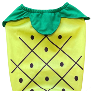 Áo thun dễ thương hình trái cây cho chó mèo