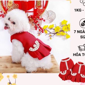 Đầm xinh cho chó mèo thú cưng, đầm thiết kế cho chó mèo