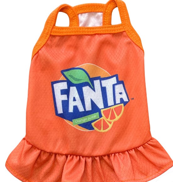 Đầm dây xinh cho chó mèo