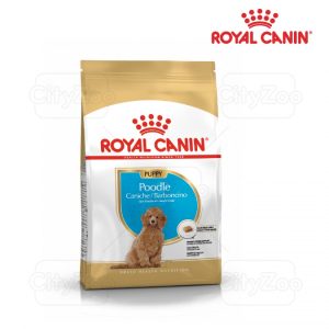 ROYAL CANIN Poodle Puppy 500g, 1,5KG