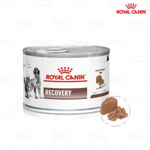 ROYAL CANIN Recovery - Pate Hỗ Trợ Thúc Đẩy Quá Trình Phục Hồi 195g