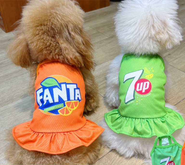 Đầm dây xinh cho chó mèo