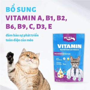Pate Cho Mèo MRVET 70g Bổ Sung Omega-3, Vitamin, L-Lysine