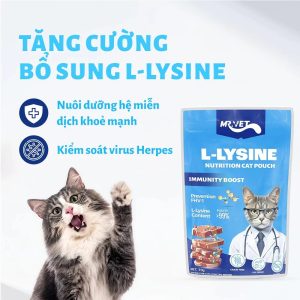 Pate Cho Mèo MRVET 70g Bổ Sung Omega-3, Vitamin, L-Lysine