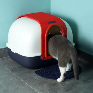 Nhà Vệ Sinh Dragon Cánh Bướm Cho Mèo